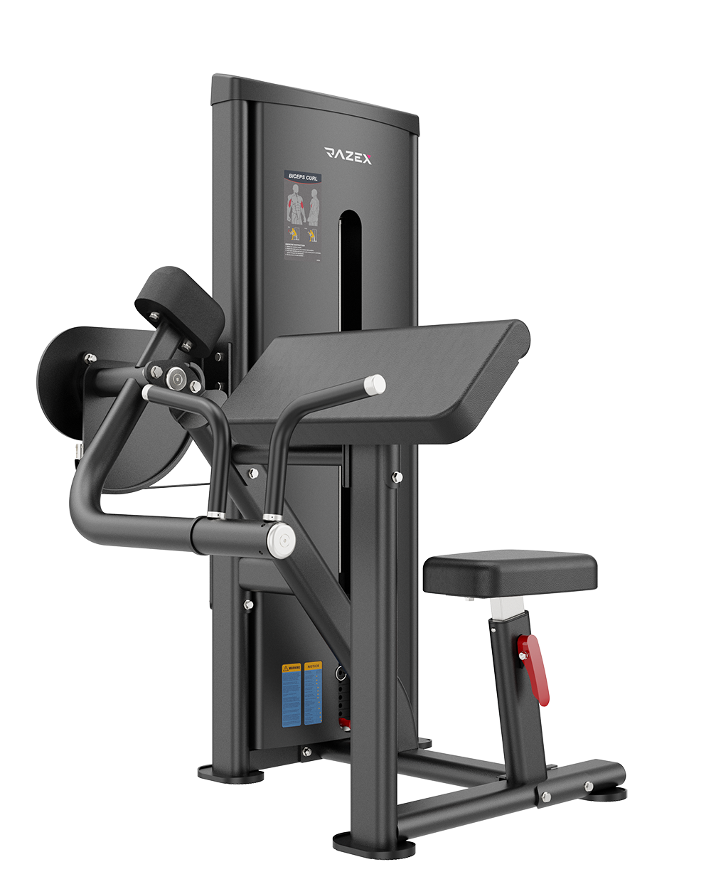 Biceps Curl